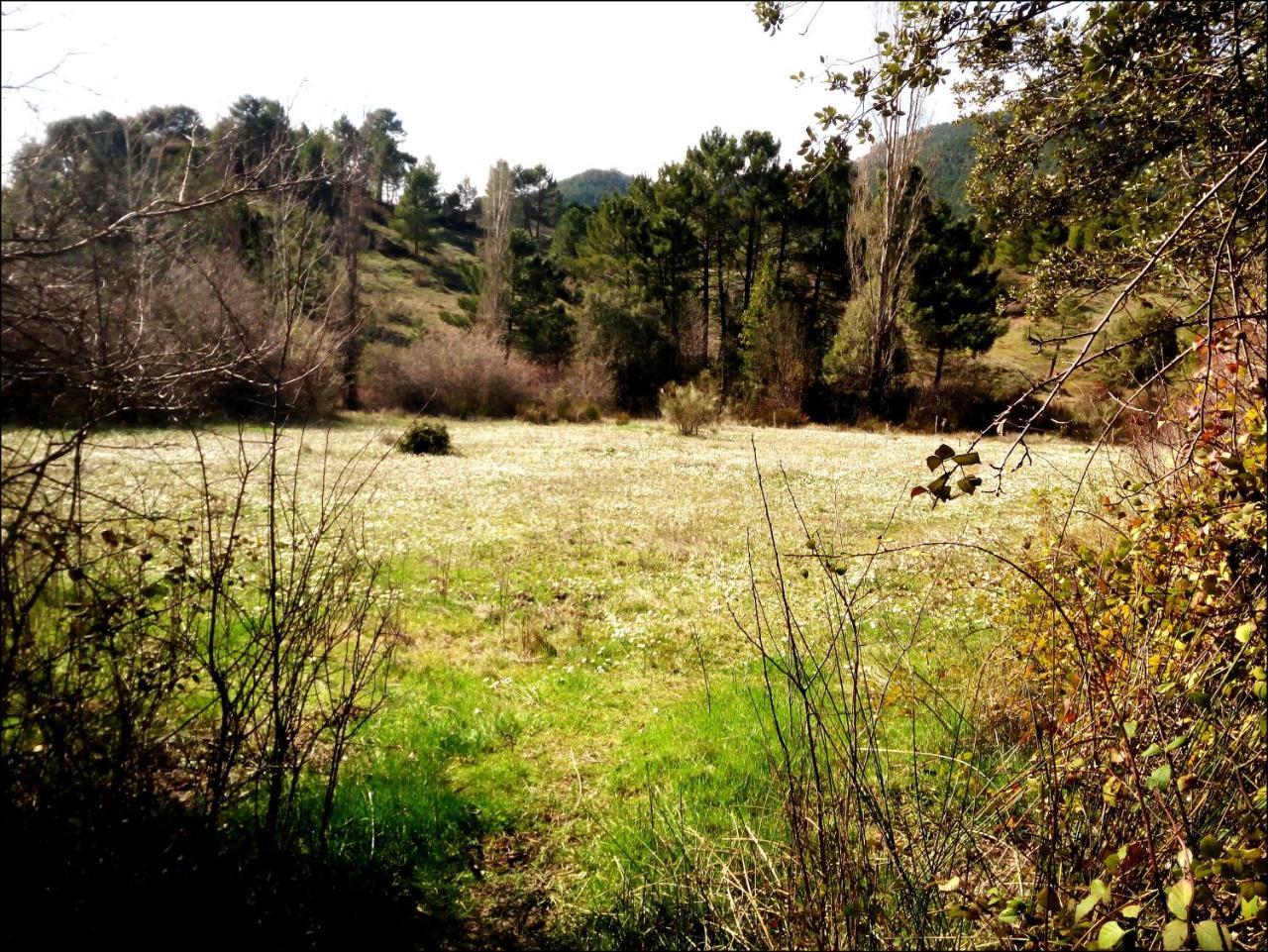 Casas Rurales Picos Del Oso Риопар Экстерьер фото